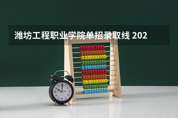 潍坊工程职业学院单招录取线 2023年甘肃r段录取院校及分数线