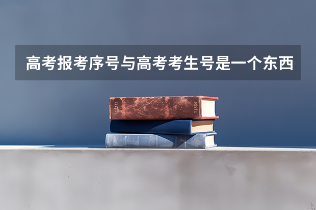 高考报考序号与高考考生号是一个东西吗