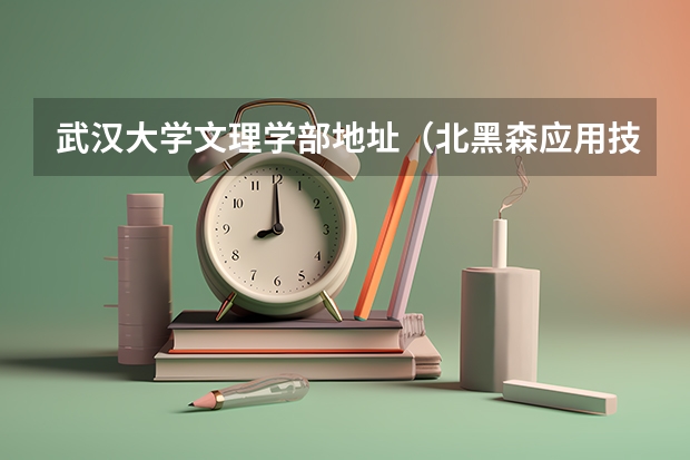 武汉大学文理学部地址(北黑森应用技术大学?)