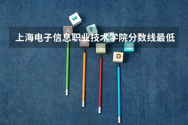 上海电子信息职业技术学院分数线最低是多少