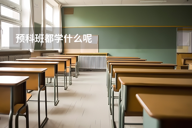 预科班都学什么呢