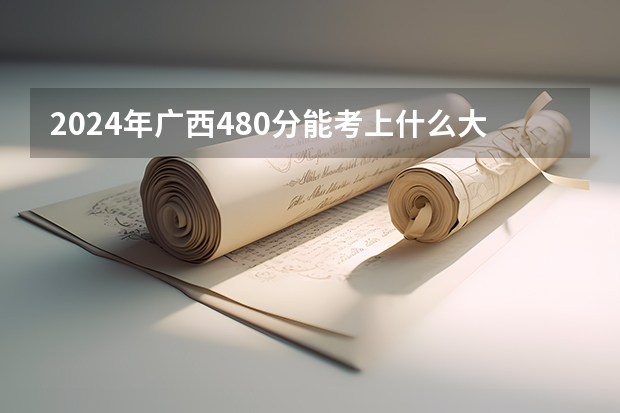 2024年广西480分能考上什么大学?