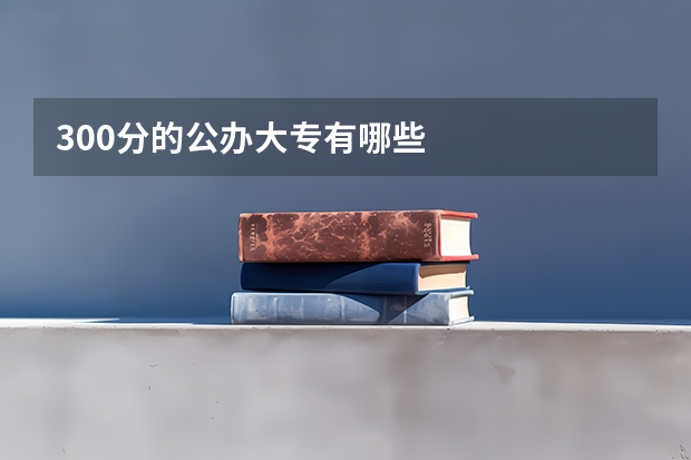 300分的公办大专有哪些