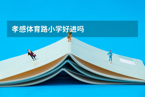 孝感体育路小学好进吗