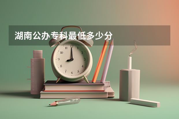 湖南公办专科最低多少分