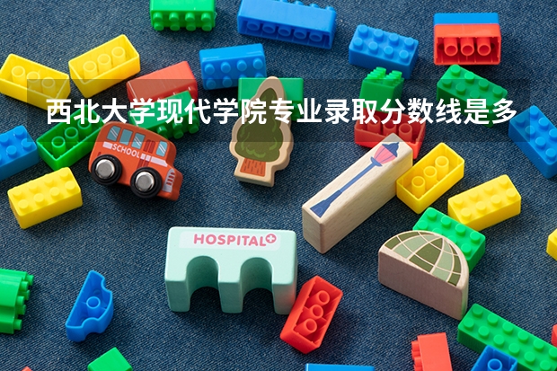 西北大学现代学院专业录取分数线是多少