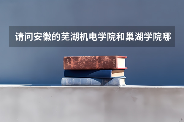 请问安徽的芜湖机电学院和巢湖学院哪个美术专业好些？