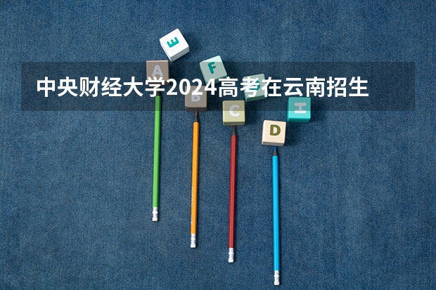 中央财经大学2024高考在云南招生计划介绍