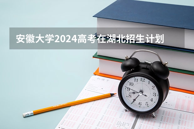 安徽大学2024高考在湖北招生计划介绍