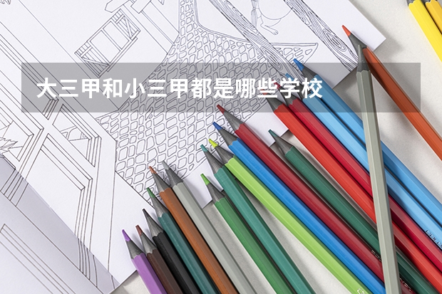 大三甲和小三甲都是哪些学校
