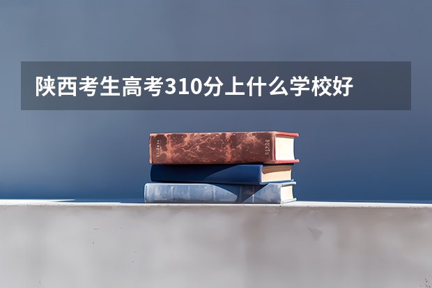 陕西考生高考310分上什么学校好