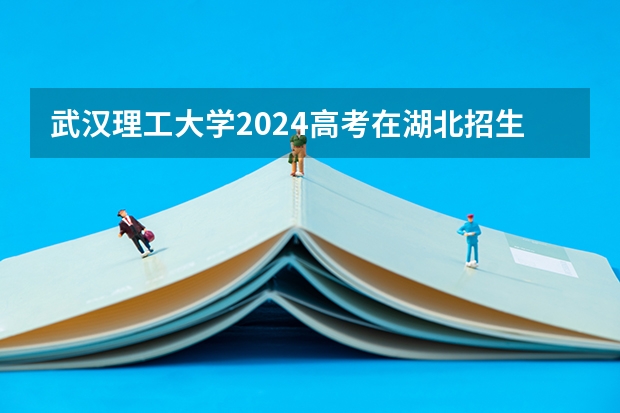 武汉理工大学2024高考在湖北招生计划介绍