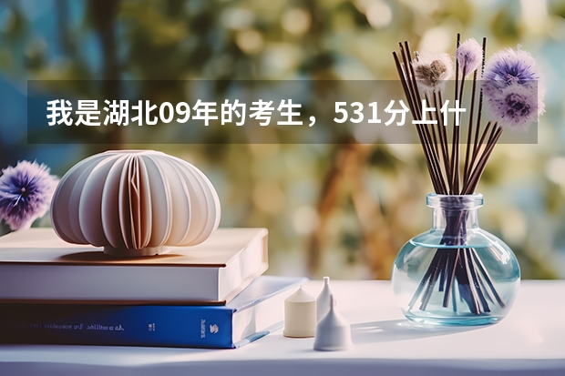 我是湖北09年的考生，531分上什么2本1学校比较好？急求！！！