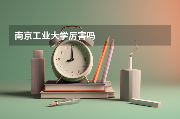 南京工业大学厉害吗