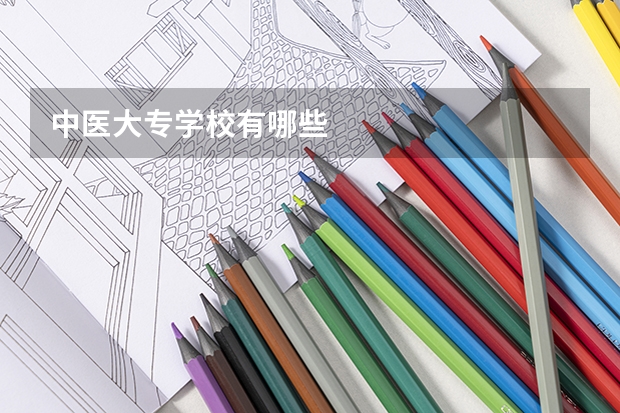 中医大专学校有哪些