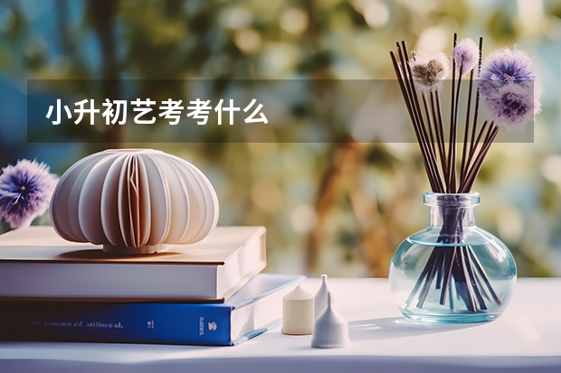 小升初艺考考什么