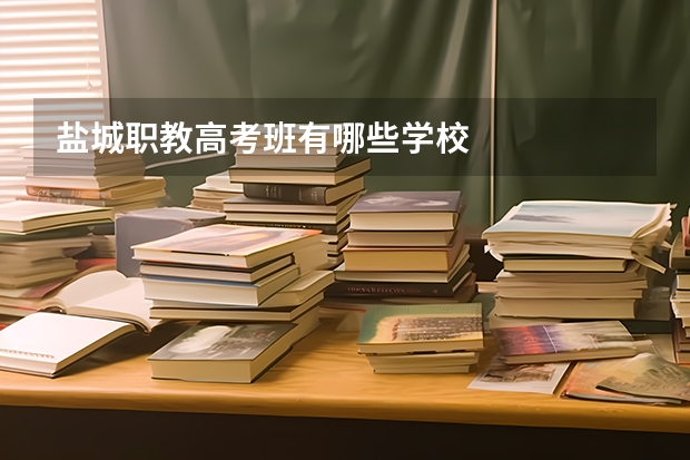 盐城职教高考班有哪些学校