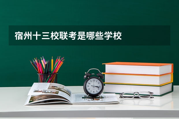 宿州十三校联考是哪些学校