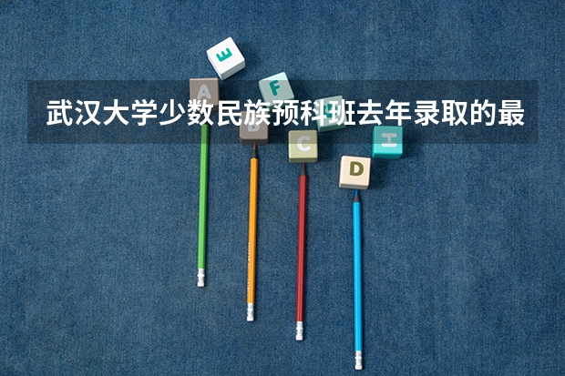 武汉大学少数民族预科班去年录取的最低分多少？？