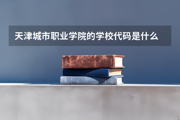 天津城市职业学院的学校代码是什么