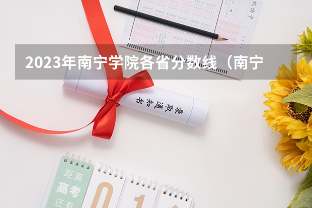 2023年南宁学院各省分数线（南宁学院各省最低录取分数线及位次）