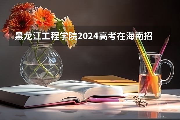 黑龙江工程学院2024高考在海南招生计划介绍