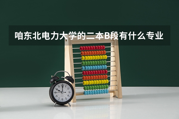 咱东北电力大学的二本B段有什么专业
