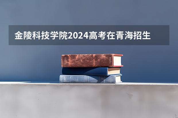 金陵科技学院2024高考在青海招生计划介绍