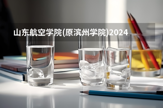 山东航空学院(原滨州学院)2024高考在上海招生计划介绍