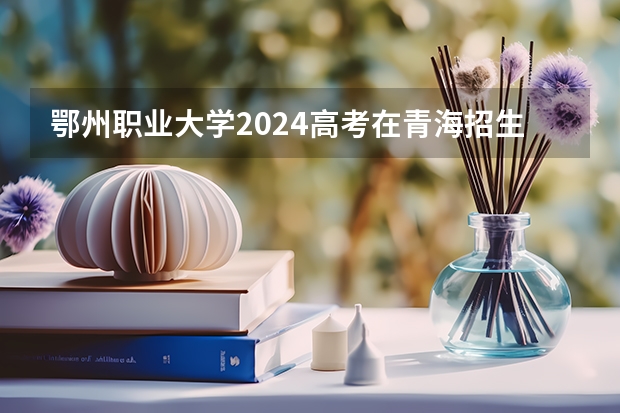 鄂州职业大学2024高考在青海招生计划介绍