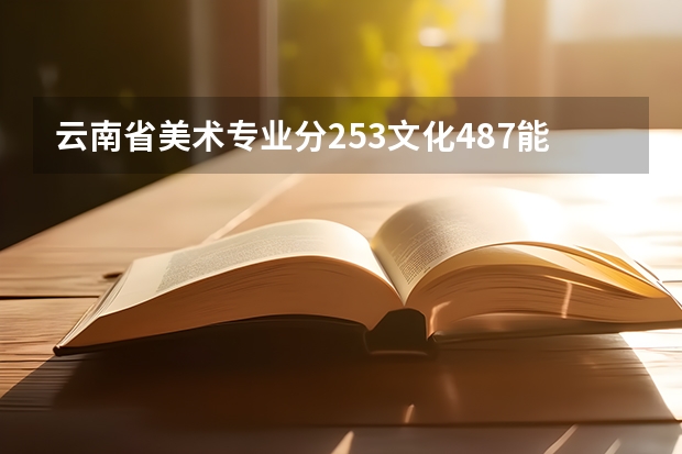 云南省美术专业分253文化487能报哪些学校