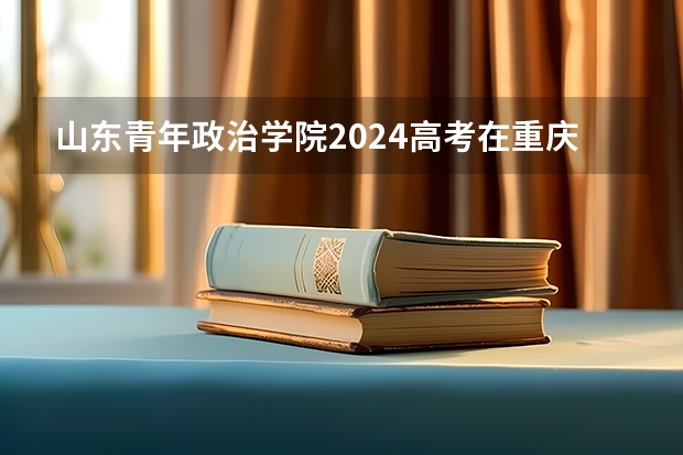 山东青年政治学院2024高考在重庆招生计划介绍