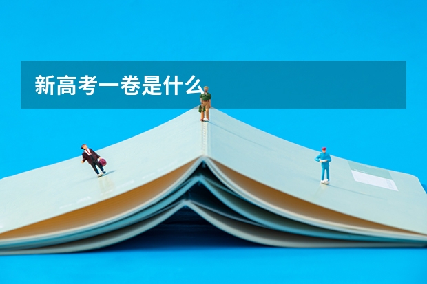 新高考一卷是什么