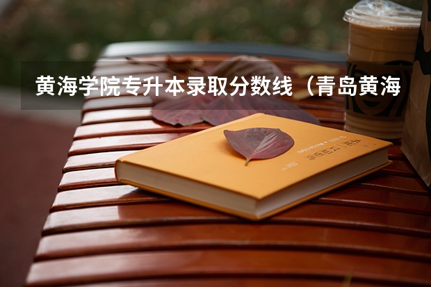 黄海学院专升本录取分数线（青岛黄海学院专业分数线）