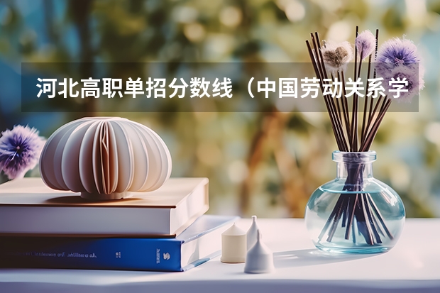 河北高职单招分数线（中国劳动关系学院录取分数线）