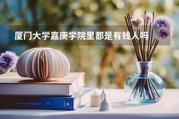 厦门大学嘉庚学院里都是有钱人吗