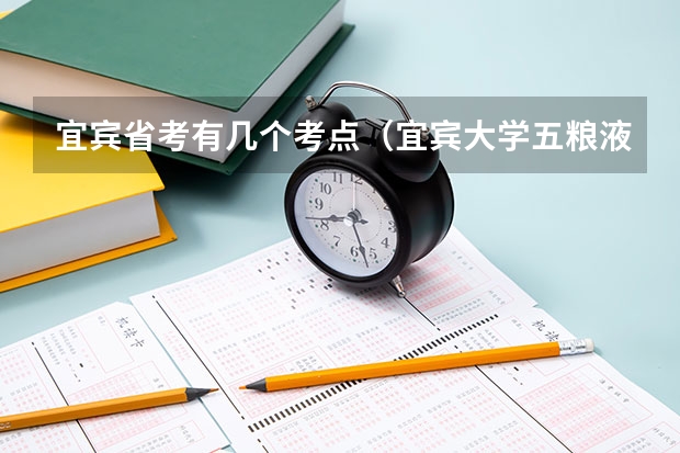 宜宾省考有几个考点（宜宾大学五粮液学院招生要求）