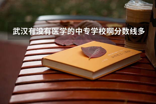 武汉有没有医学的中专学校啊分数线多少分能上一本大学