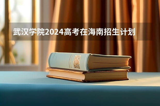 武汉学院2024高考在海南招生计划介绍