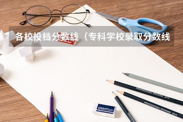各校投档分数线（专科学校录取分数线）