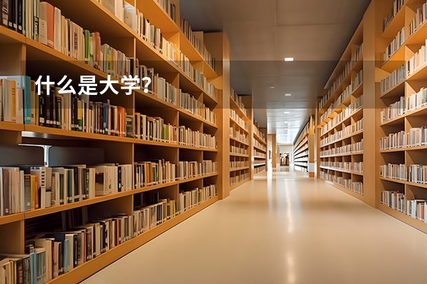 什么是大学？