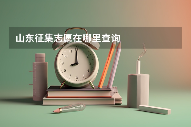 山东征集志愿在哪里查询