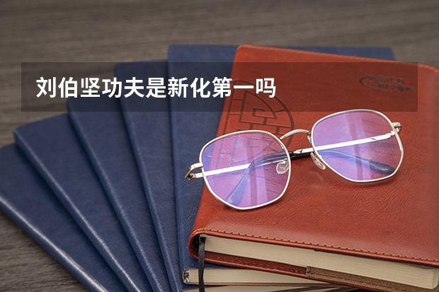刘伯坚功夫是新化第一吗