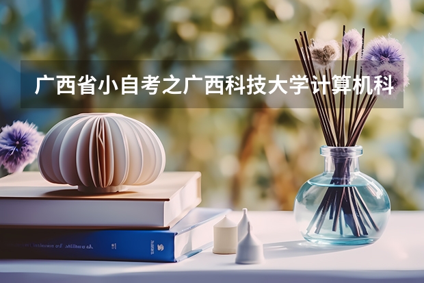 广西省小自考之广西科技大学计算机科学与技术专业本科小自考简介（河南财经政法大学招生简章,招生专业）