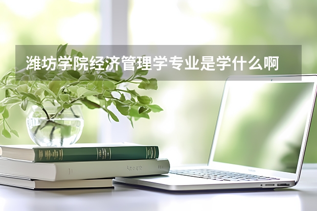 潍坊学院经济管理学专业是学什么啊