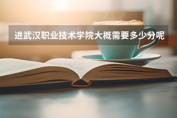 进武汉职业技术学院大概需要多少分呢