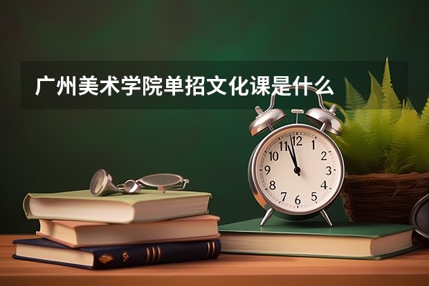 广州美术学院单招文化课是什么