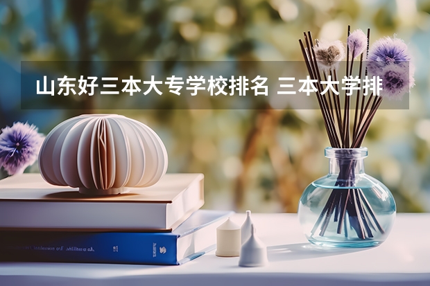 山东好三本大专学校排名 三本大学排名榜 全国最好的三本学校
