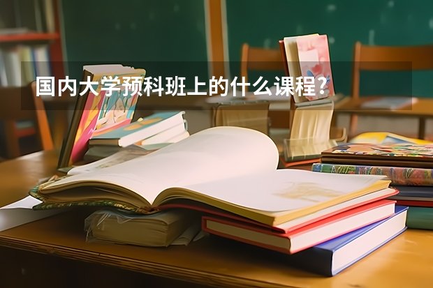 国内大学预科班上的什么课程?