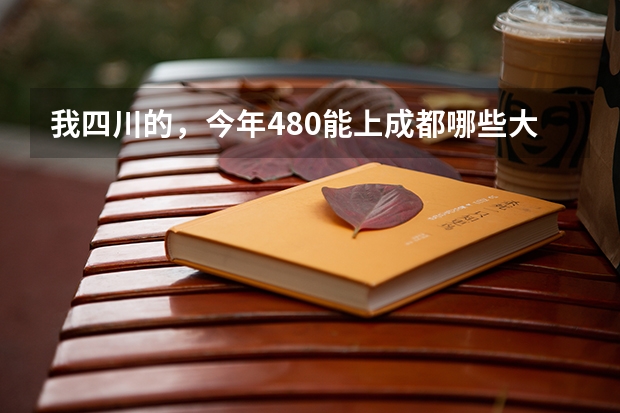 我四川的，今年480能上成都哪些大学？